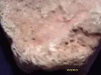 IMAG0163.webp