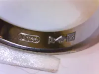 Still001 copy.webp