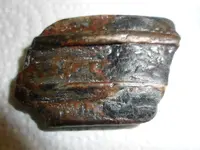 horse teeth 27feb14.webp