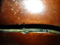IMG_2618 (2).webp IMG_2618 (2).webp