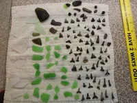 treasure coast beach finds 27feb14.webp