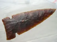 DSCN2741.webp