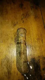 10006539_10152310733001940_1142239712_n.webp