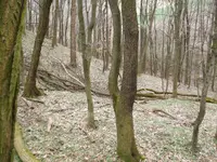 nagant 010.webp