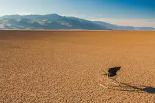 Desert-Isolation.webp