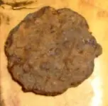 DSCF0024.webp