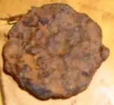 DSCF0027.webp