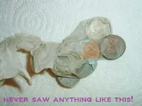 DSCF2833.webp