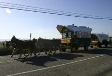 wagon1.webp