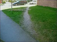 6desirepath2.webp