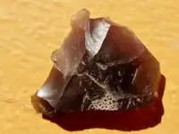 RSCN7041.webp