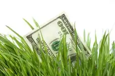 hidden-money.webp