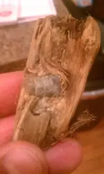 IMAG0046.webp