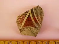 RSCN6039.webp