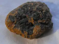 DSCF0010.webp