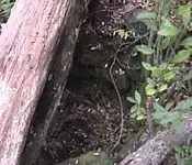 lenape spring well.webp