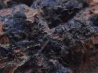 DSCF0015.webp