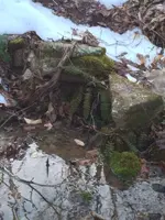 image-1984038189.webp