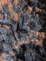 DSCF0024.webp