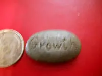 growth rock2.webp
