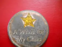 wishing coin.webp