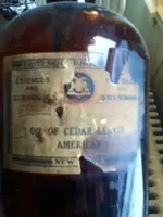 image-2451106580.webp