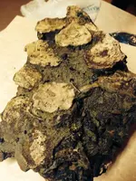 1620880_701574763196597_1693842890_n.webp