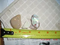 CIMG2259.webp