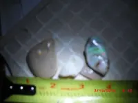 CIMG2261.webp