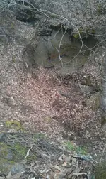 1901233_701575486529858_70368905_n.webp