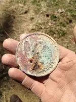 image-306497112.webp
