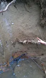 10008449_595882047152955_1891044130_n.webp