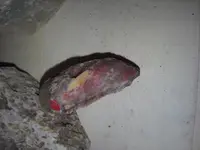 20140304_181747.webp
