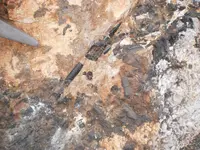 P3292446.webp