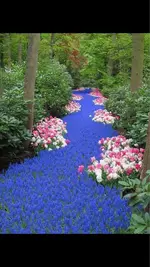 image-4133825084.webp