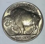 1938dBuffaloNickel2.webp