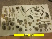 0312NUT.webp
