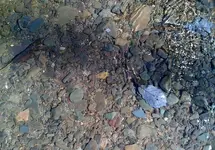 DSCF0006 (1024x716).webp