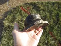 030814f.webp 030814f.webp