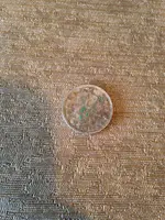 IMG_0330.webp IMG_0330.webp