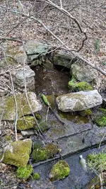 ForumRunner_20140403_184157.webp