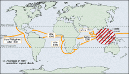 Coconut Trees migration.gif