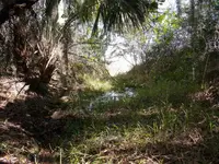 DSCF1229.webp