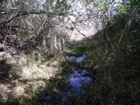 DSCF1231.webp