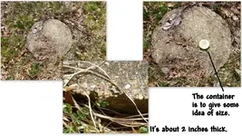 Pictures.webp