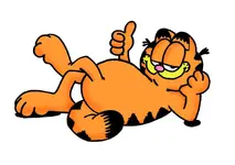 thumbs-up.webp