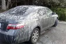 bird-poop-camry.webp