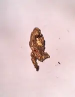 The Running Man Nugget.webp