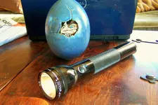 egg 1.webp