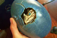 egg 2.webp